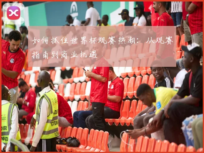 如何抓住世界杯观赛热潮：从观赛指南到商业机遇