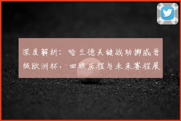 深度解析:哈兰德关键战助挪威晋级欧洲杯,回顾历程与未来赛程展望